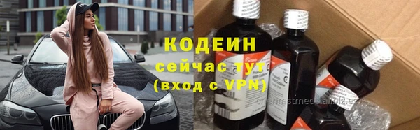 индика Покров