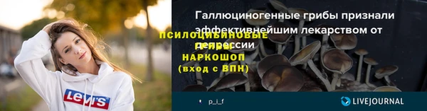 прущие грибы Абдулино