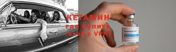 прущие грибы Абдулино