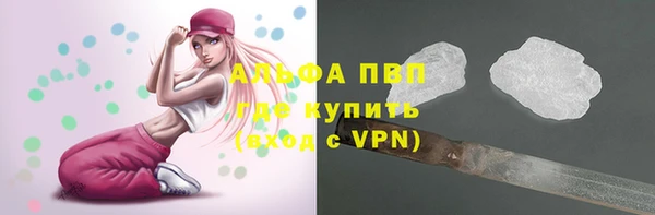 прущие грибы Абдулино