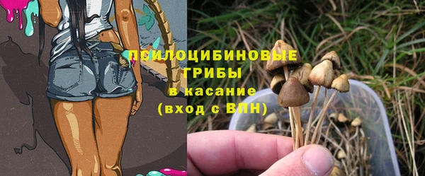 прущие грибы Абдулино