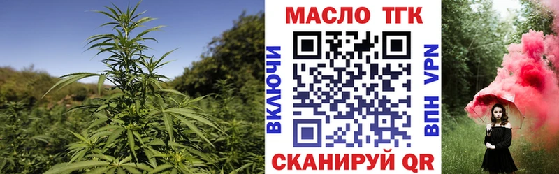 ТГК жижа  купить закладку  Кизилюрт 